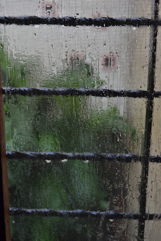 rainy day window